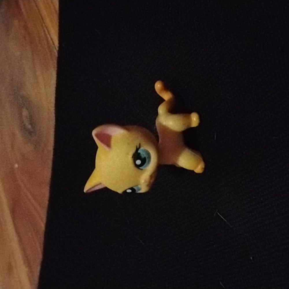 Cute rare short hair lps cat